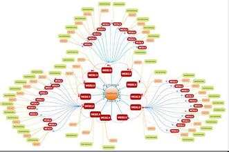 ���ַ������Ƶ�����Ů�������в�20����������Ƥ ���ڴ��ر���(ͼ)...